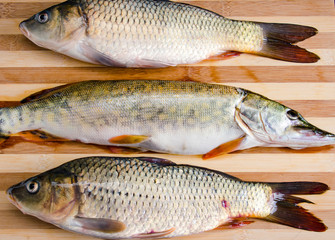 Uncooked fish on cutting board in meal preparation concept