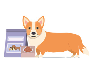 dog with bowl and pet food on white background