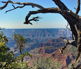 Grand Canyon National Park North Rim, USA. One of the Worlds 7 Natural Wonders