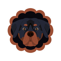 card cute and lovely of dog