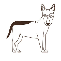 silhouette of cute bull terrier dog on white background