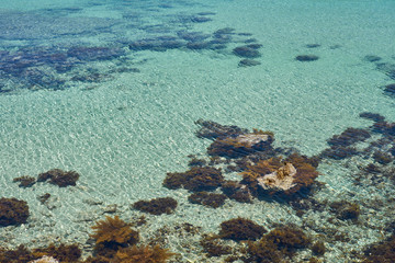 Stones in blue turquoise water in Crete, Greece.