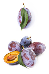 fresh blue plums on a white background