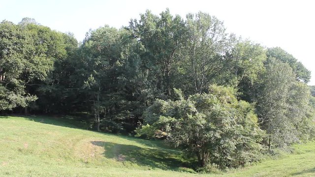 landscape hills in kentucky