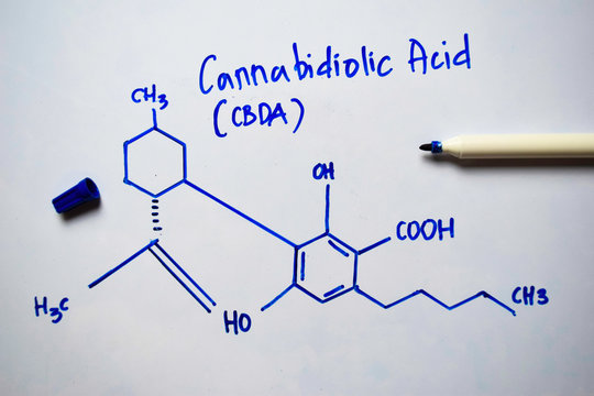 Cannabidiolic Acid (CBDA) molecule written on the white board. Structural chemical formula. Education concept