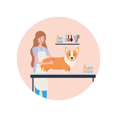 young woman with dog in pet groomer