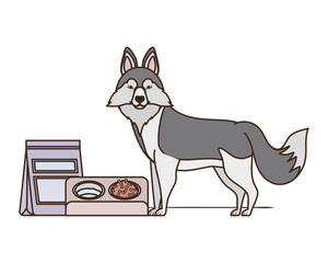 dog with bowl and pet food on white background