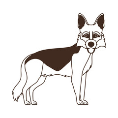 silhouette of cute pastor aleman dog on white background