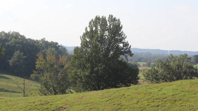 landscape hills in kentucky