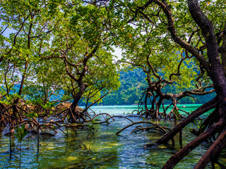 Beach in Mu Koh Surin or Surin Island, Thailand
