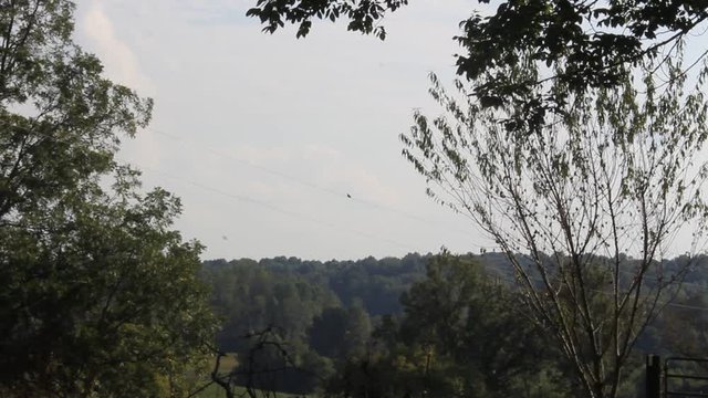 landscape hills in kentucky