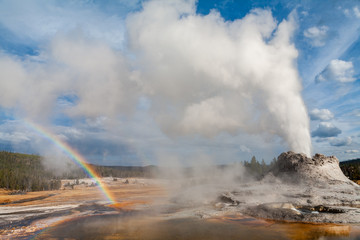 Castle Geyser eruption forms a rainbow in Yellowstone National Park, Wyoming