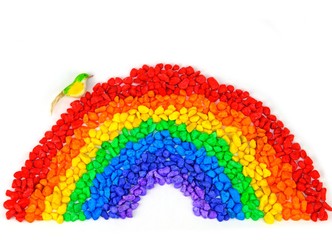 A little bird on curve of beautiful rainbow isolate on white background.