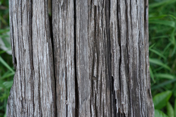 Obraz premium Pęknięcie na powierzchni starej kłody drewna