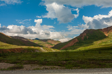 Fototapeta premium Denali National Park Landscape in Alaska