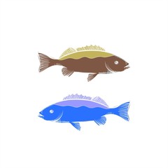 barracuda fish in the sea vector logo and illustration