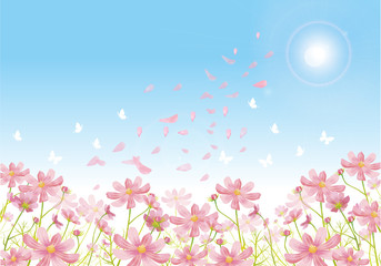 青空 空 快晴 晴天 晴れ 太陽 青空 雲 入道雲 花びら 桜 桜の花 Wall Mural Okaka08