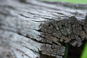Crack on surface old wood log