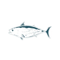 salmon fish vector logo and real illustration