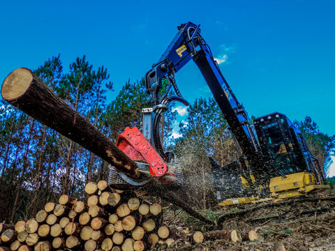 Forestry Machine