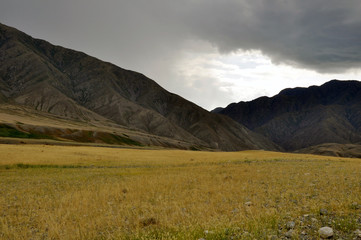 Grass Field and mountains at dramatic overcast sky in Kazakhstan, central Asia