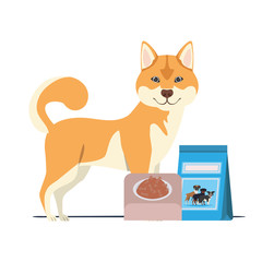 dog with bowl and pet food on white background