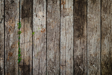 Old vintage wooden flat texture