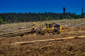Forestry Machine