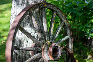 Wagon Wheel in Saskatchewan
