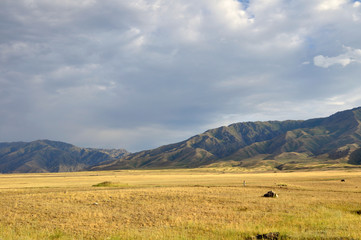 Grass Field and mountains at dramatic overcast sky in Kazakhstan, central Asia