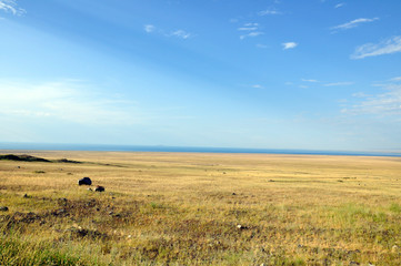 Obraz premium Grass Field and mountains at dramatic overcast sky in Kazakhstan, central Asia