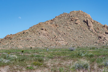 USA, Nevada, Clark County, Gold Butte National Monument. Moon visible during the day next to Gold Butte the crumbling granite butte and the namesake of the park that bears its name.