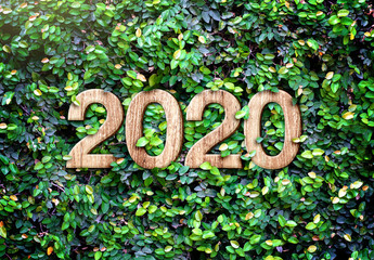 2020 happy new year wood texture number on Green leaves wall background,Nature eco concept,organic...