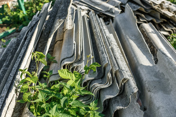 Asbestos roof removal . Asbestos dust in the environment. Health problems