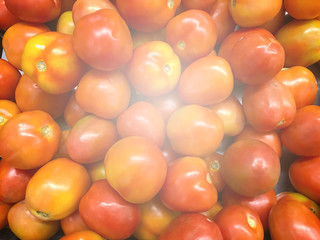 Fresh Tomatoes on the market