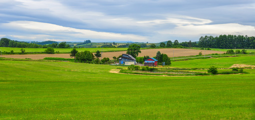 Fototapeta na wymiar Beautiful rural scenery at summer day