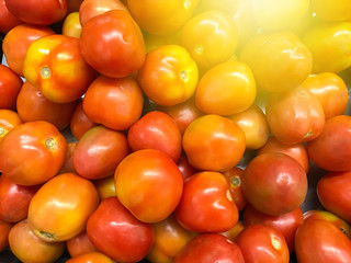 Fresh Tomatoes on the market