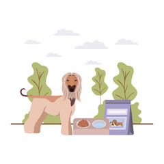 dog with bowl and pet food on landscape