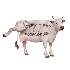 vache laitière, rigolote, invitation, offrir le lait, animal,  blanc, ferme, bétail, taureau, isolé, mollet, agriculture, mammifère, gazon, bétail, boeuf, vache laitière, lait, brun, alpage, debout, p