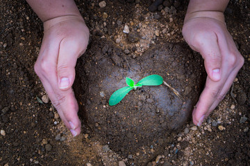 Close up hand planting tree into the heart shape soil. Earth day. World environment day. Ozone day.