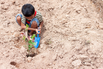 A boy is holding a spade to plant trees on a barren land to help reduce global warming.