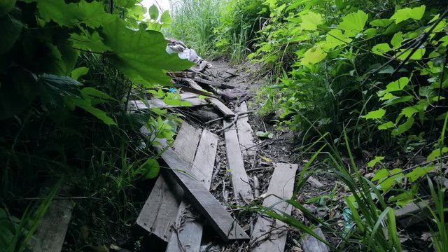 Trash and scrap boards polluting and rotting on trail in forest.