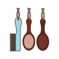 set of hairbrush combs and hairbrushes on white background