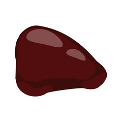 Beef liver illustration