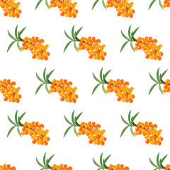 Sea buckthorn seamless pattern