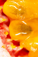 Fototapeta na wymiar Juicy passion fruit pulp as a background