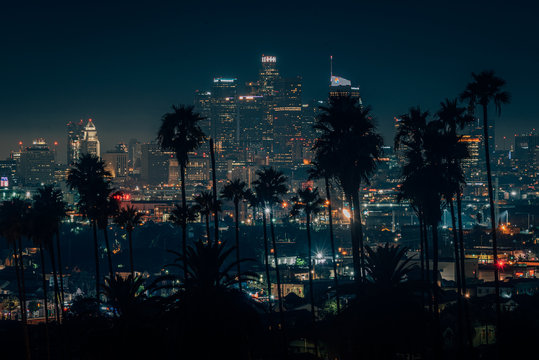 Palm trees and cityscape night skyline view of downtown Los Angeles, California