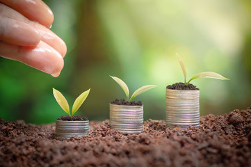 Close up of woman's hand nurturing and watering a young plants is growing up on stack of coins for business investment or saving concept