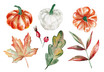 Halloween set with pumpkins and fall leaves isolated on white background with clipping path