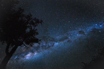 Night stars sky with Milkyway galaxy over tree silhouette, as seen from Madagascar coast in Anakao
